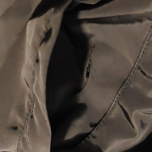 Neeshy Jogging Suit Set Sz L - Picture 8 of 8